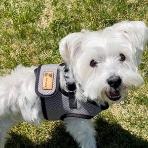 Meet your Posher, Amverlee